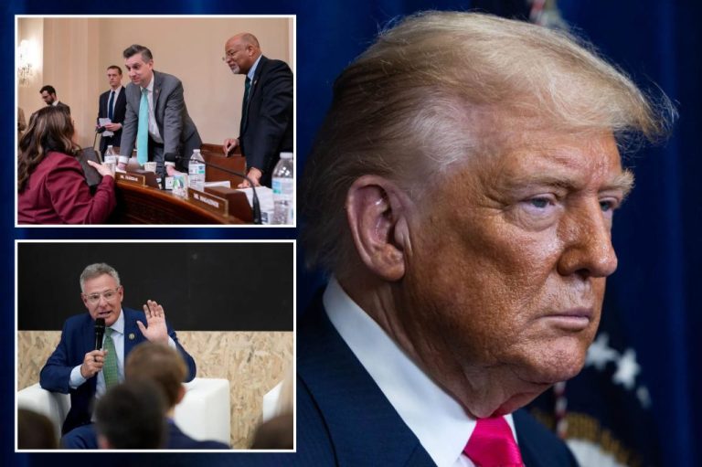 The House inches closer to bipartisan permitting reform, as President Donald Trump looms over discussions.