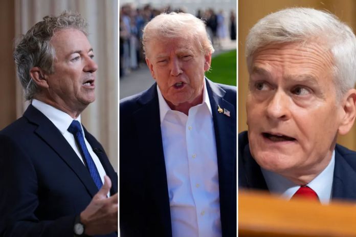 Collage of Senator Rand Paul (R-KY), President Donald Trump, and Sen. Bill Cassidy (R-LA).