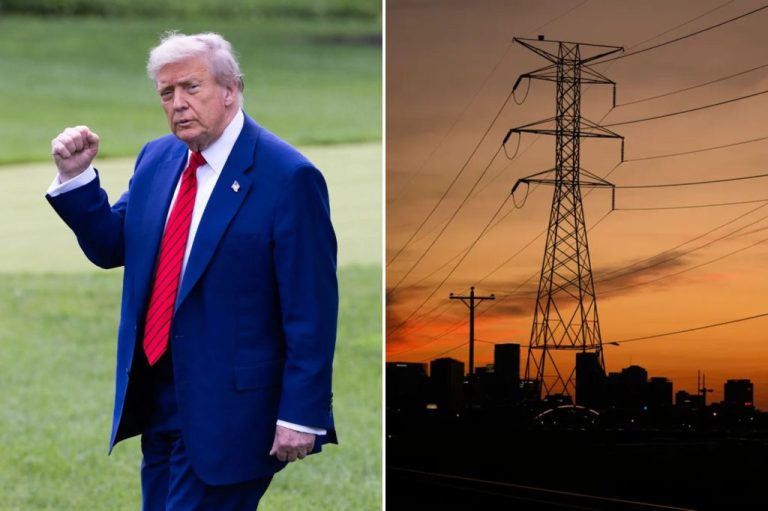 A collage with President Donald Trump and power lines.