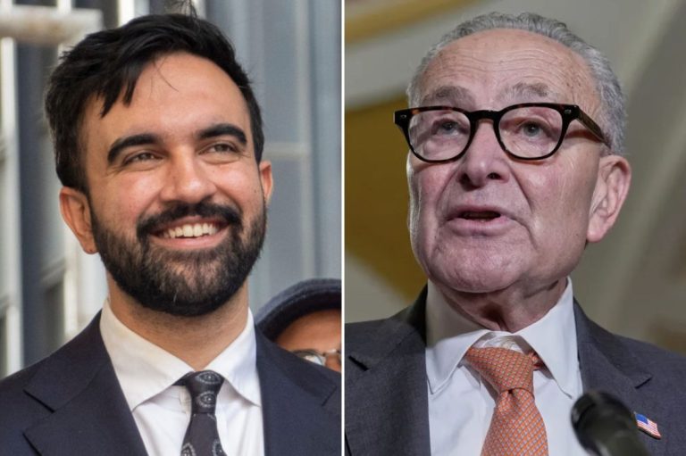 Zohran Mamdani and Chuck Schumer