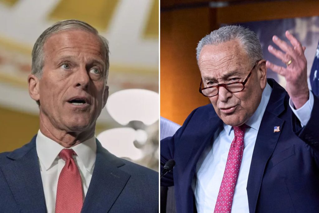 Thune and Schumer make their cases before Republican CR vote