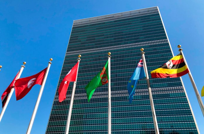 The UN refuses to reform thumbnail