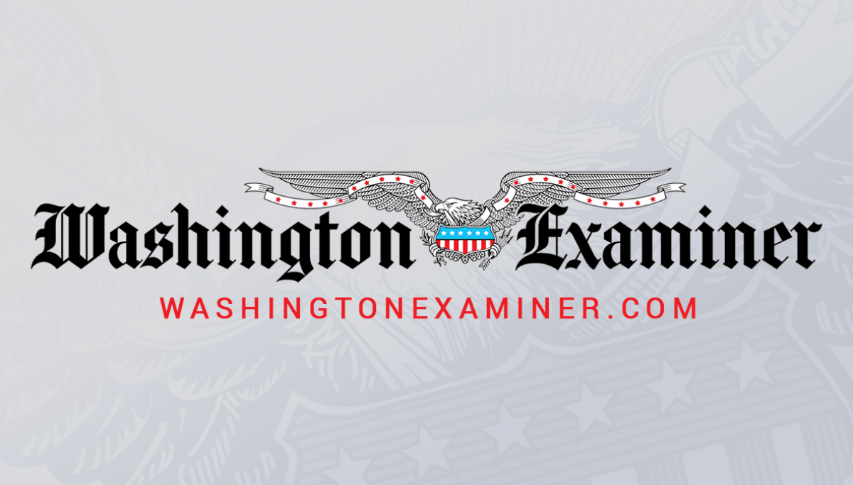 FEC moves off massive ad regulation scheme