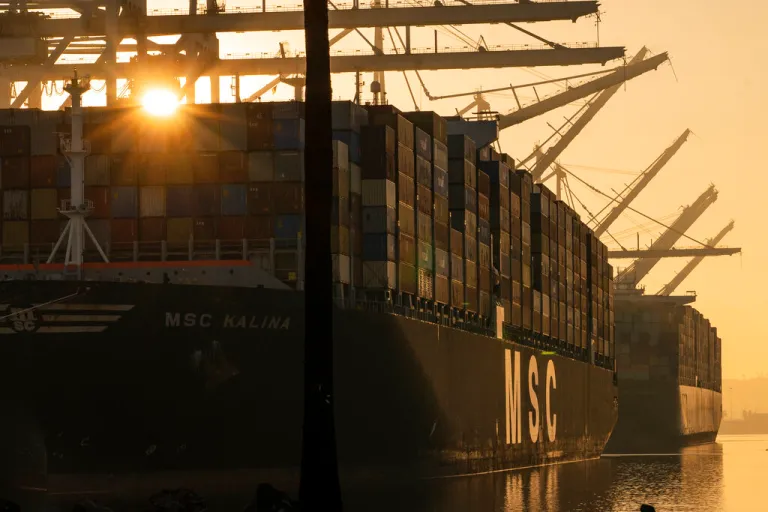 FILE - The MSC Kalina shipping container is moored at Maersk APM Terminals Pacific at the Port of Los Angeles, Nov. 30, 2021. The marine shipping industry is facing new regulations to address carbon pollution. Its trade groups have been seeking exemptions for pollution emitted during voyages on rough seas. (AP Photo/Damian Dovarganes, File)