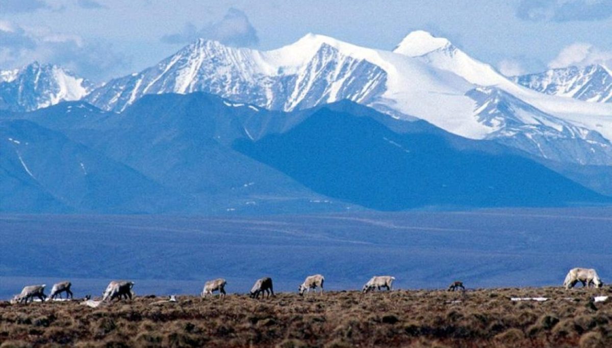 ‘Shield from the Majority’ is under attack in Alaska 