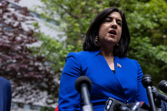 New York Democrats target GOP House seat in redistricting lawsuit New York Democrats target GOP House seat in redistricting lawsuit