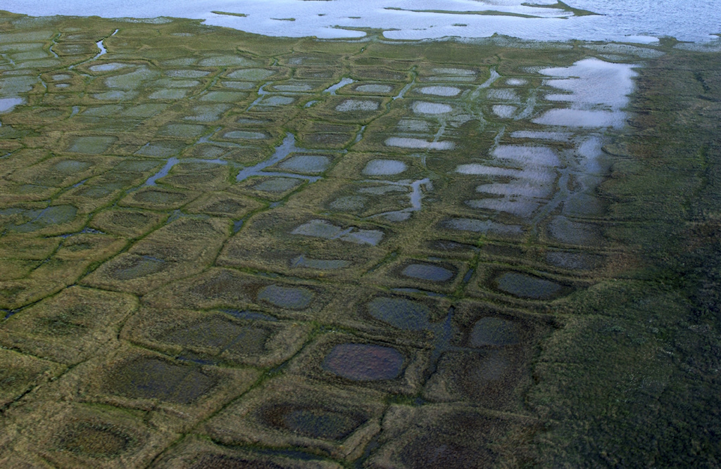 Trump takes steps to open northern Alaska to oil and gas drilling