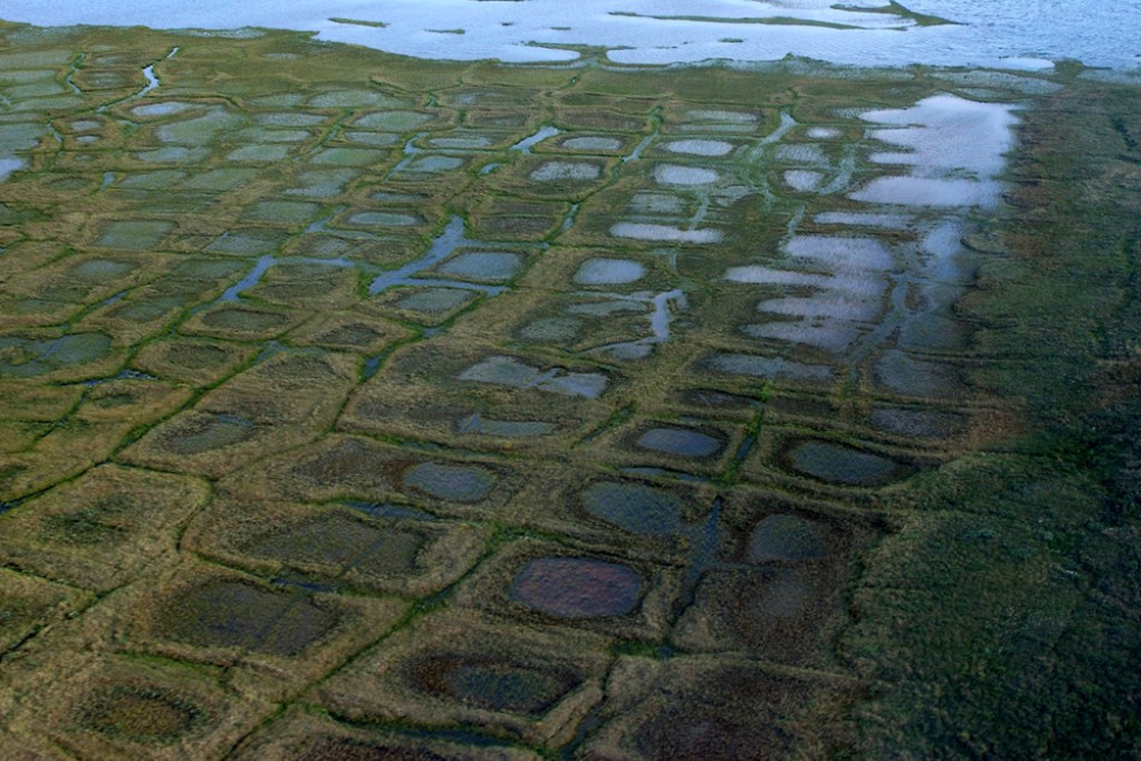 Trump Administration Advances Major Alaska Mineral Road And Arctic Oil Lease Plans