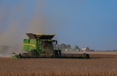Soybean farmers twisting in the wind during US-China talks