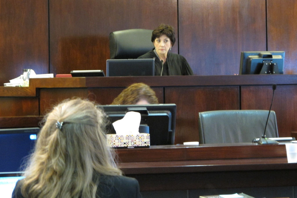 NextImg:SC authorities investigating fire at Judge Diane Goodstein's house
