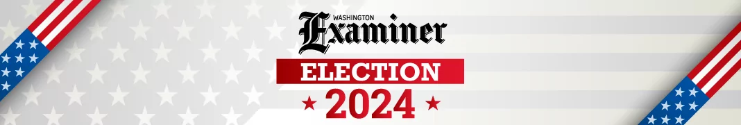 Election 2024