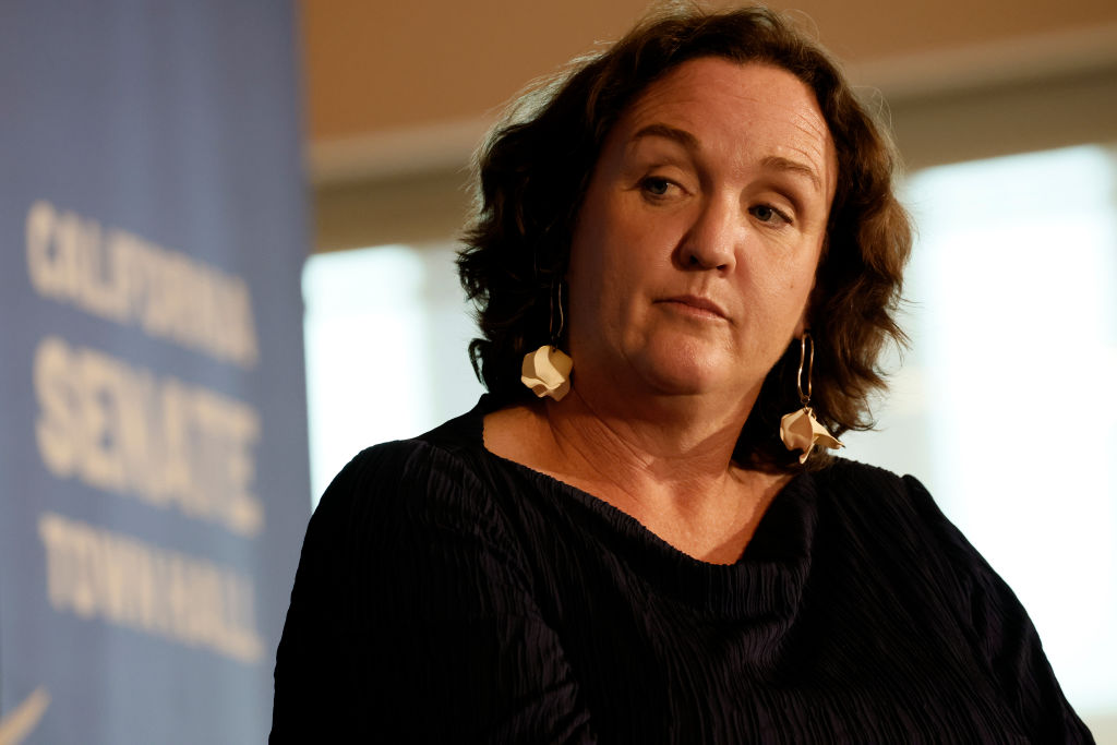 NextImg:Being Katie Porter