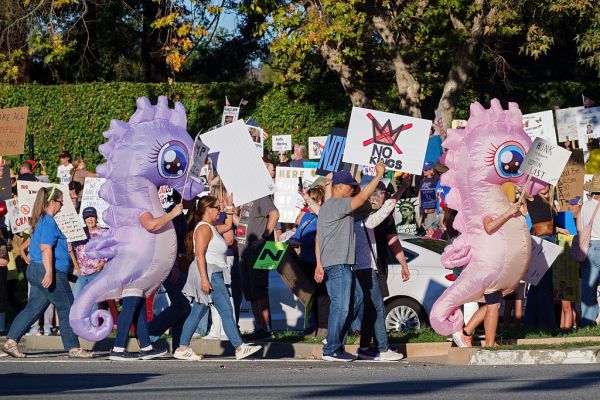 No Kings is the Seinfeld of protests: A show about nothing