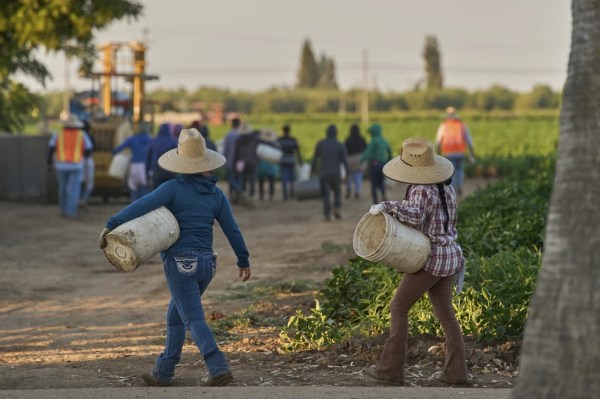 Farmers everywhere need a break, not a bailout