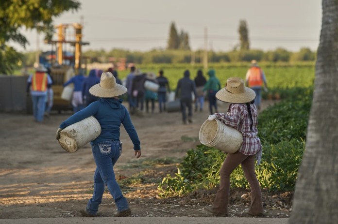 LA County supervisors declare ‘immigration emergency’ after federal enforcement actions