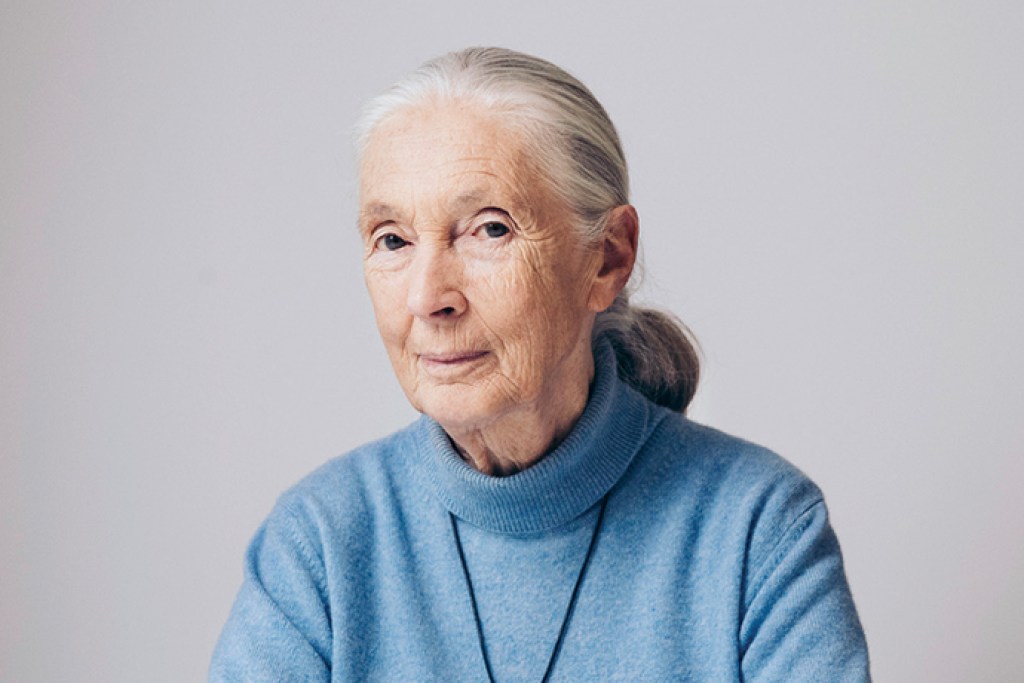NextImg:Jane Goodall, 1934-2025
