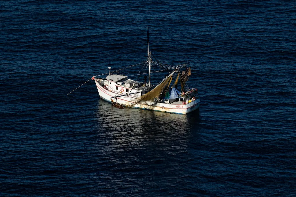 Illegal fishing robs US economy of millions of dollars. Here’s what the Coast Guard is doing about it – Washington Examiner