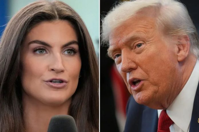 CNN’s Kaitlan Collins says Trump is more ‘accessible’ than ‘typical’ president