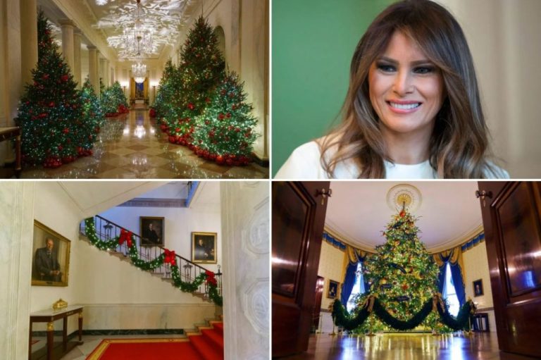 White House reopen tour for holidays collage