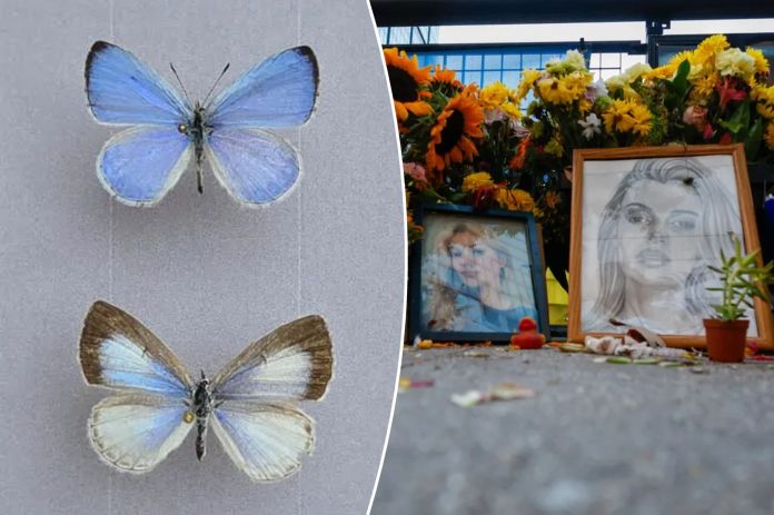 Butterfly species named after North Carolina stabbing victim Iryna Zarutska