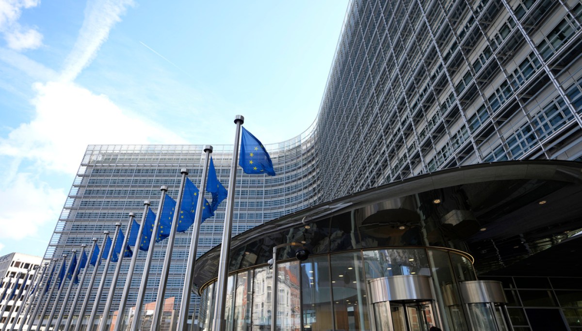 Experts urge Trump administration to take tough stance against EU regulations targeting US