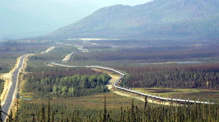 The trans-Alaska pipeline is seen next to the Dalton Highway north of Fairbanks, Alaska.