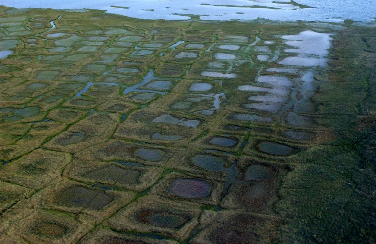 FILE - In this undated photo provided by the United States Geological Survey, permafrost forms a grid-like pattern in the National Petroleum Reserve-Alaska, managed by the Bureau of Land Management on Alaska's North Slope. (David W. Houseknecht/United States Geological Survey via AP, File)