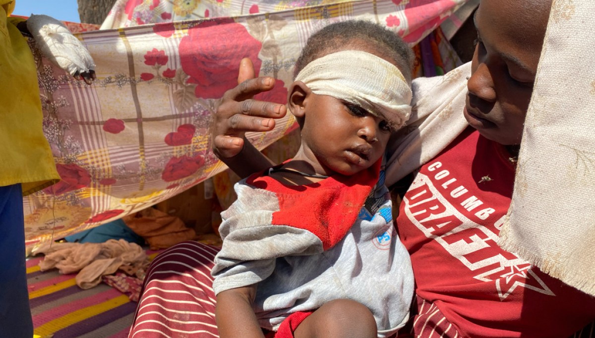Top RSF commander estimates at least 7,000 civilians killed in El Fasher