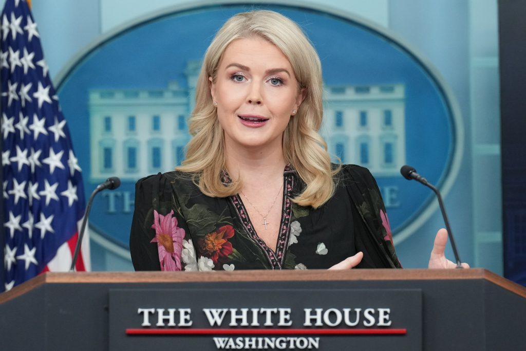 White House keeps it curt over Dick Cheney, says flags lowered ‘in accordance with statutory law’
