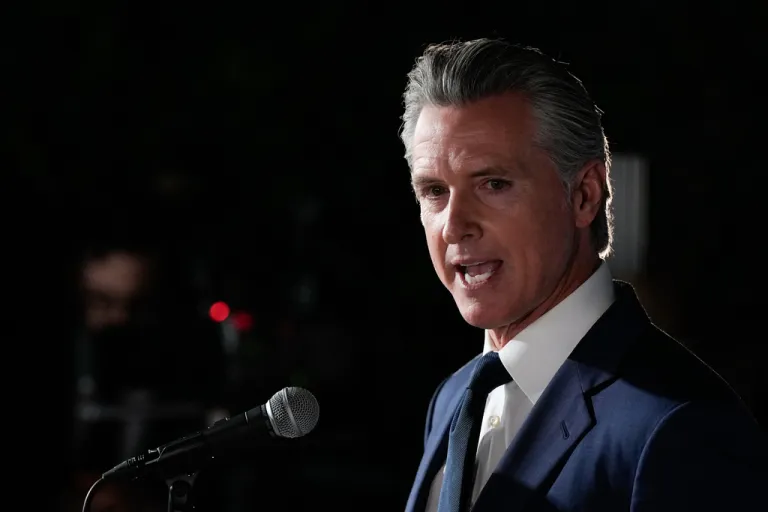 Gov. Gavin Newsom (D-CA) speaks during an election night press conference.