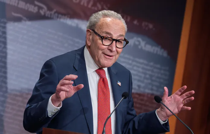 Schumer isn’t ‘necessarily’ the problem in modern Democratic Party: Joe Concha