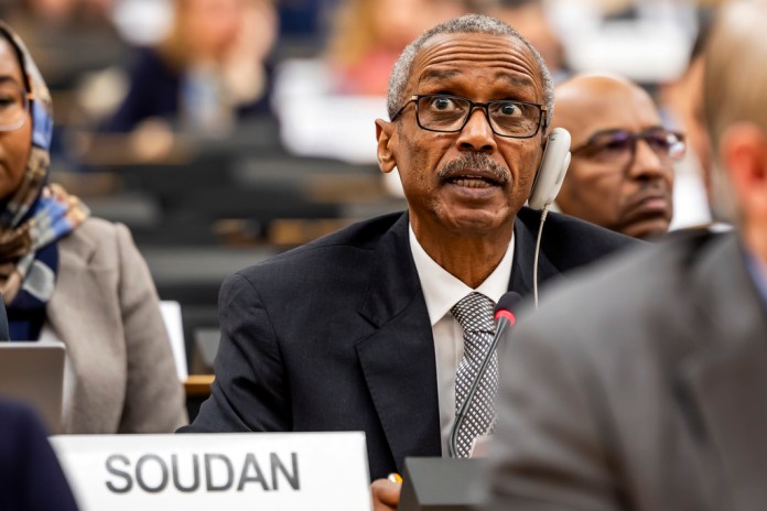 UN adopts measure to send war crimes investigators to massacre site in Sudan
