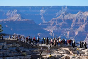 National park staff ordered not to divulge park deaths: Report