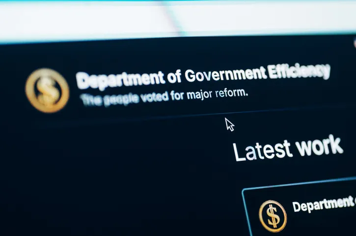 Detail of the US Department of Government Efficiency website.