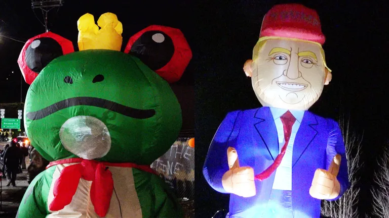 frog and trump