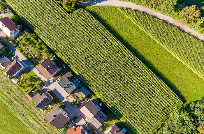 LA.Books.LandTrap.111925