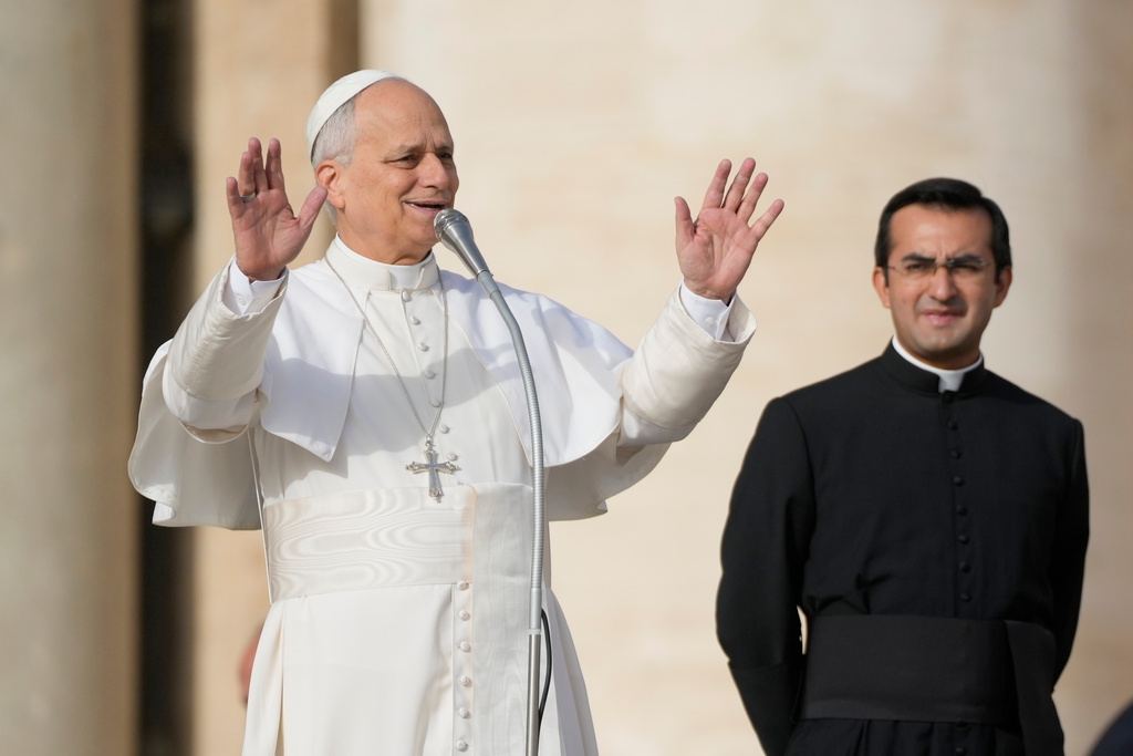 Pope Leo XIV draws online backlash over climate, immigration and transgender outreach