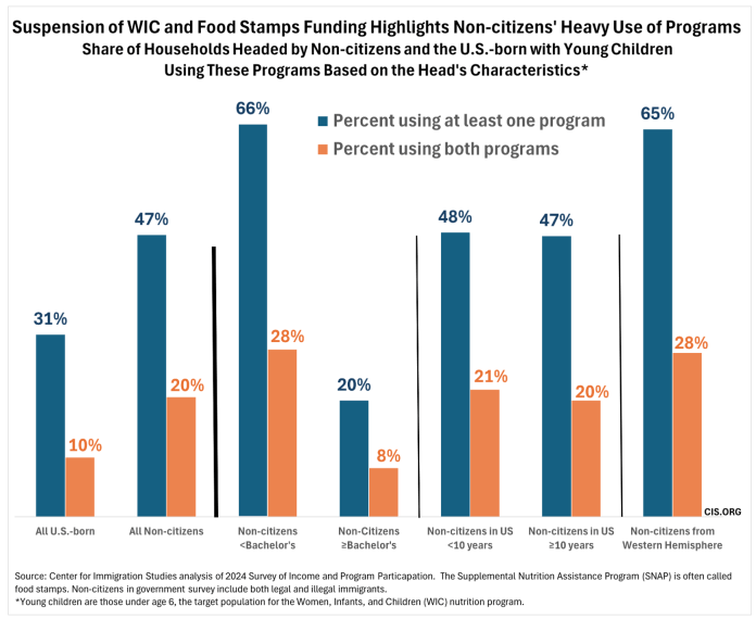 Graphic courtesy Center for Immigration Studies