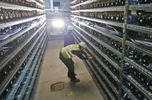 Big Tech’s AI future relies on an unlikely hero: The blue-collar worker
