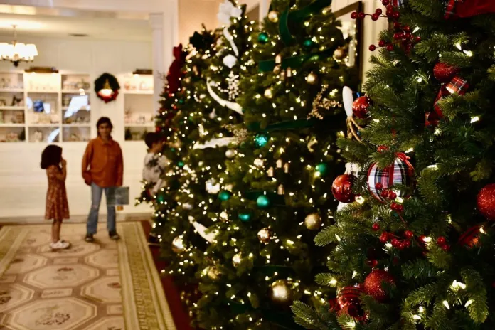 Children walk by Christmas trees