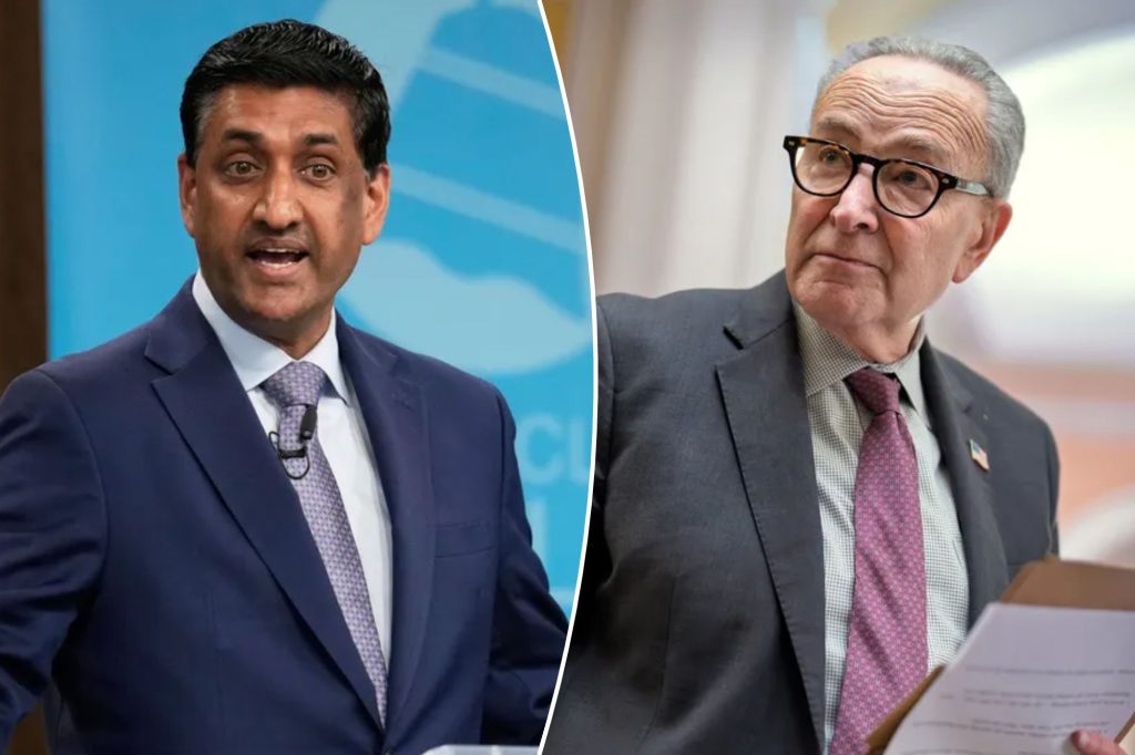 Khanna says Schumer’s handling of shutdown is ‘final straw’ for his leadership