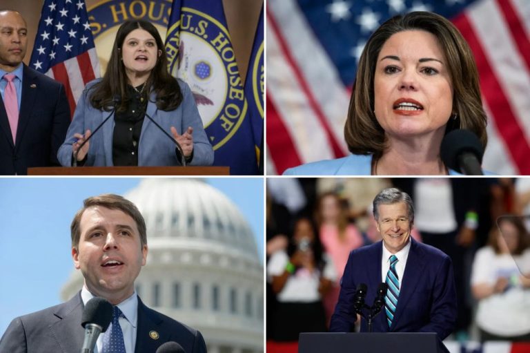 Reps. Angie Craig (MN), Haley Stevens (MI), Chris Pappas (NH) and former North Carolina Gov. Roy Cooper