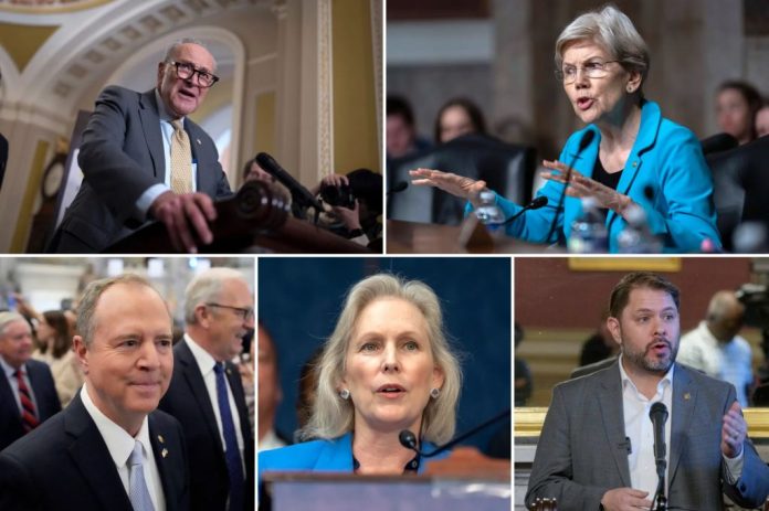 Here are what Democrats said about voting against ending the government shutdown Here are what Democrats said about voting against ending the government shutdown