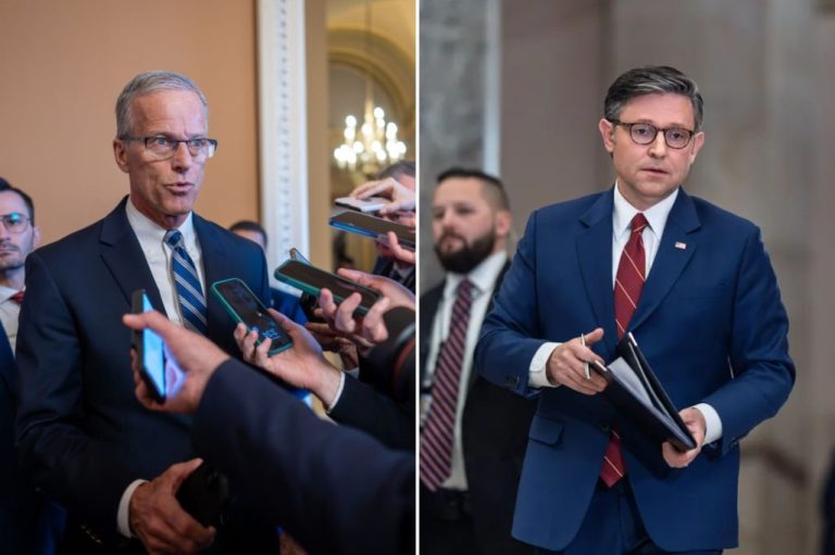 Speaker Mike Johnson (R-LA) and Senate Majority Leader Johnson Thune (R-SD)