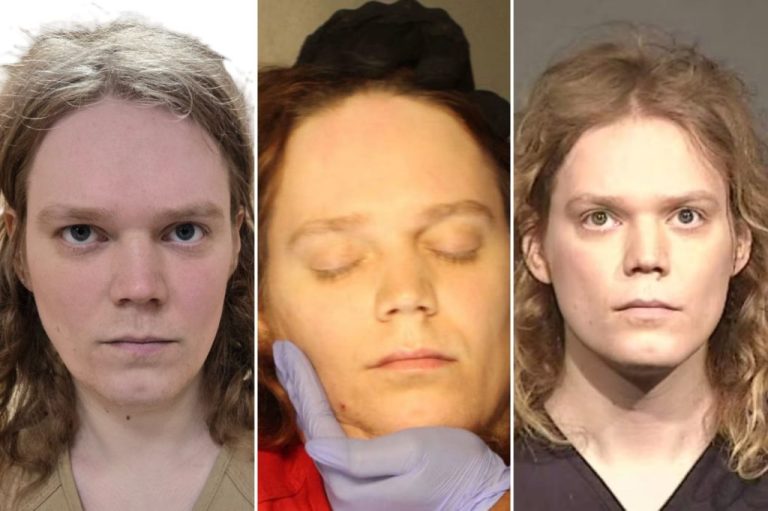 LaSota mugshot collage.