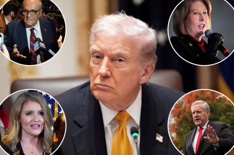 Trump 2020 election pardons