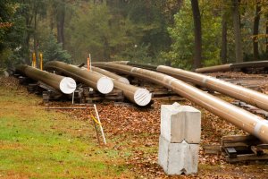 American energy dominance depends on permitting reform