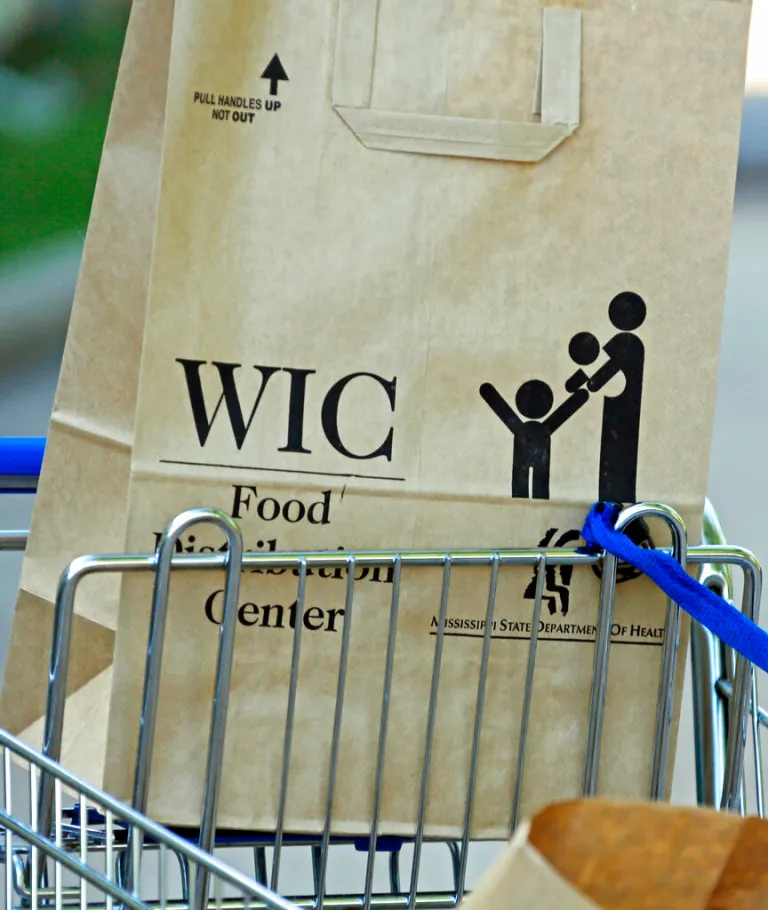 A Special Supplemental Nutrition Program for Women, Infants and Children bag sits in a shopping cart.