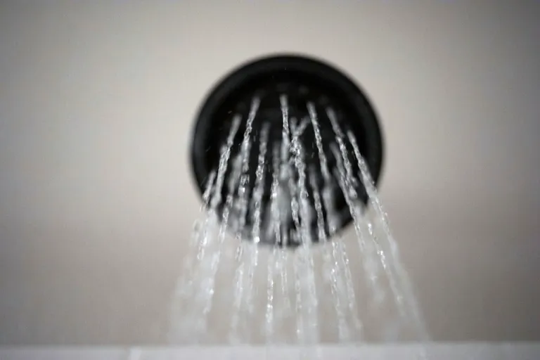 Water flowing out of a showerhead.