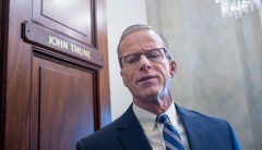 Thune staying neutral after Cassidy loses shot at Louisiana Senate runoff